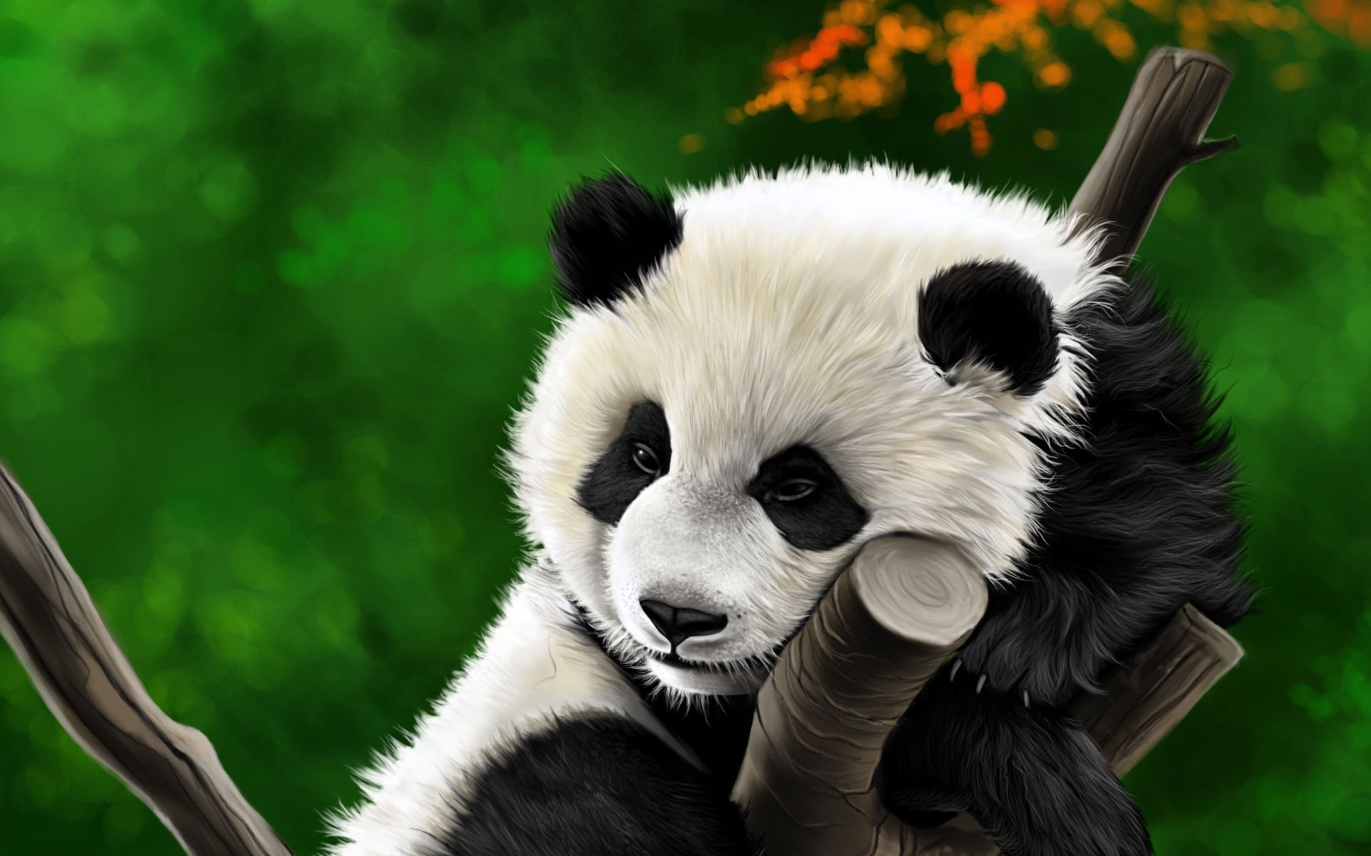 Маленький заставка на телефон. Панда обои. Красивая Панда. Панда бой. Панда арт.