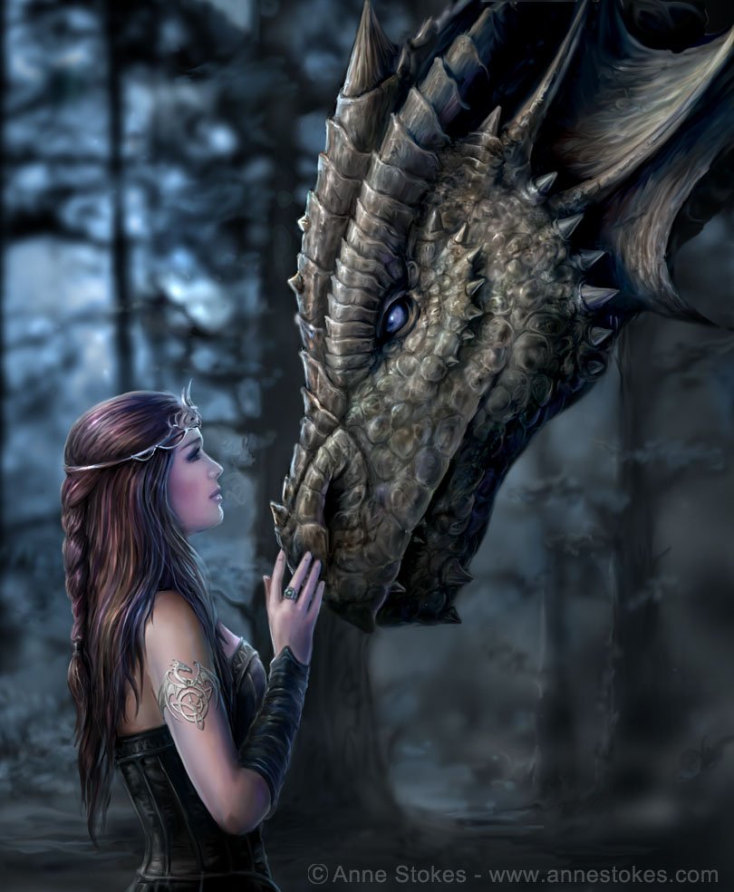 Anne Stokes драконы