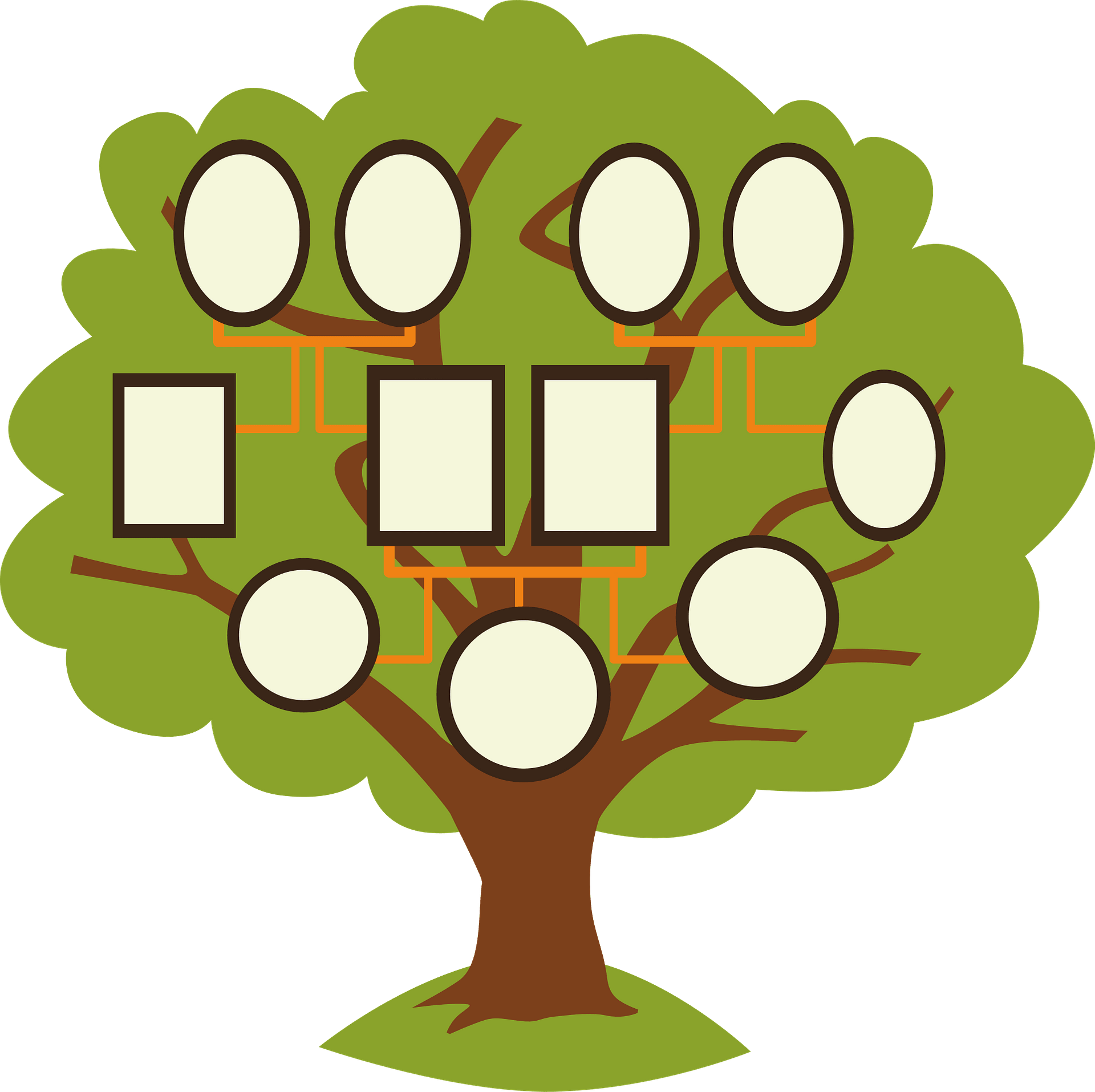 Картинка дерево семьи