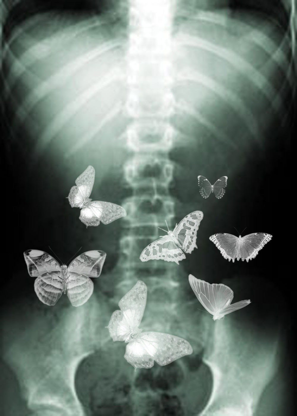 Бабочки в животе прикольные картинки