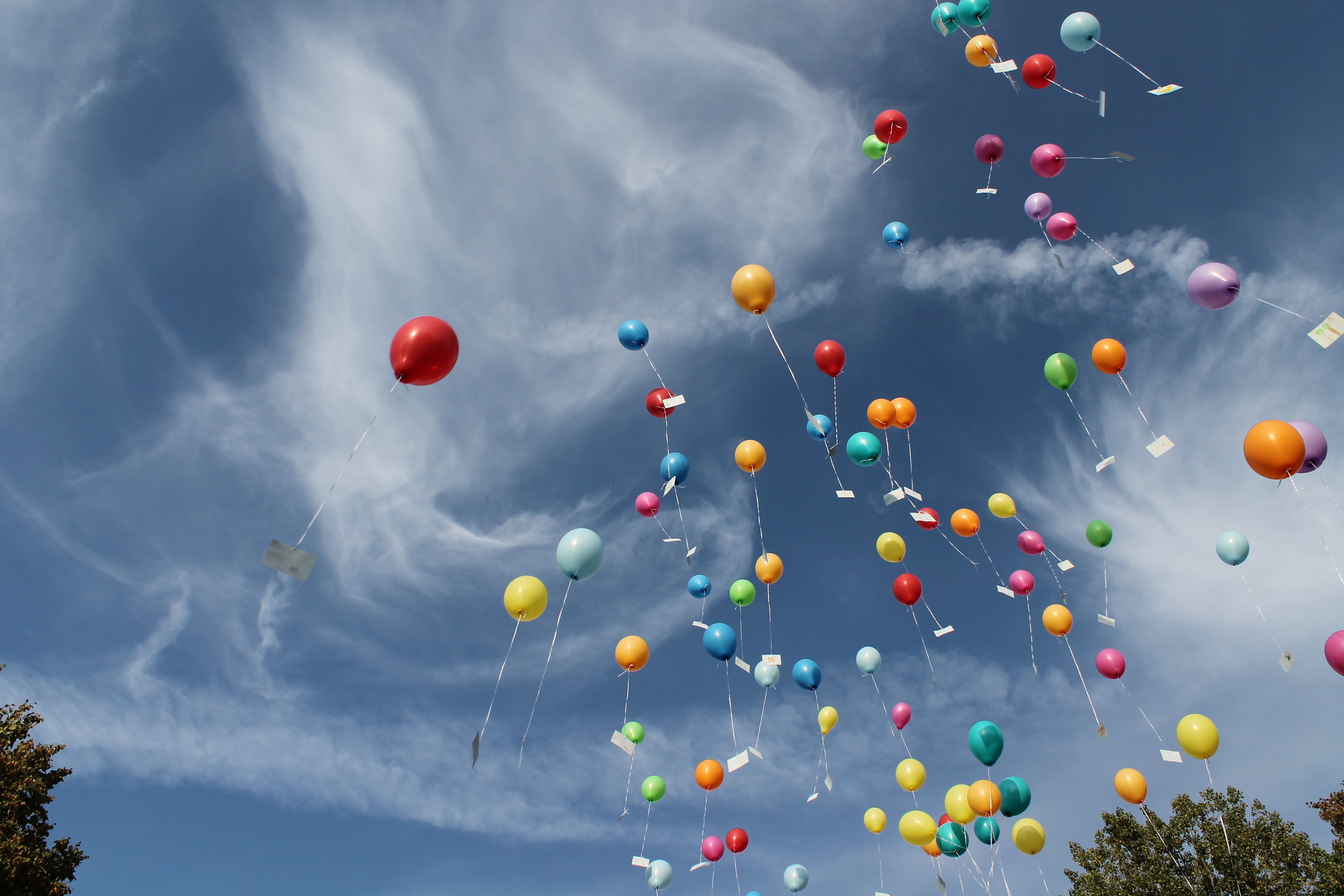 Шары улетели в небо. Воздушные шары в небе. Шарики в небе. Воздушный шарик. Шары в воздухе.