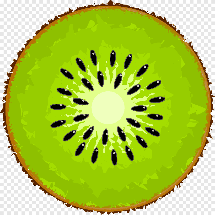 Круглые фрукты в разрезе