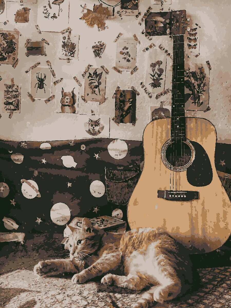 Кот с гитарой на прозрачном фоне