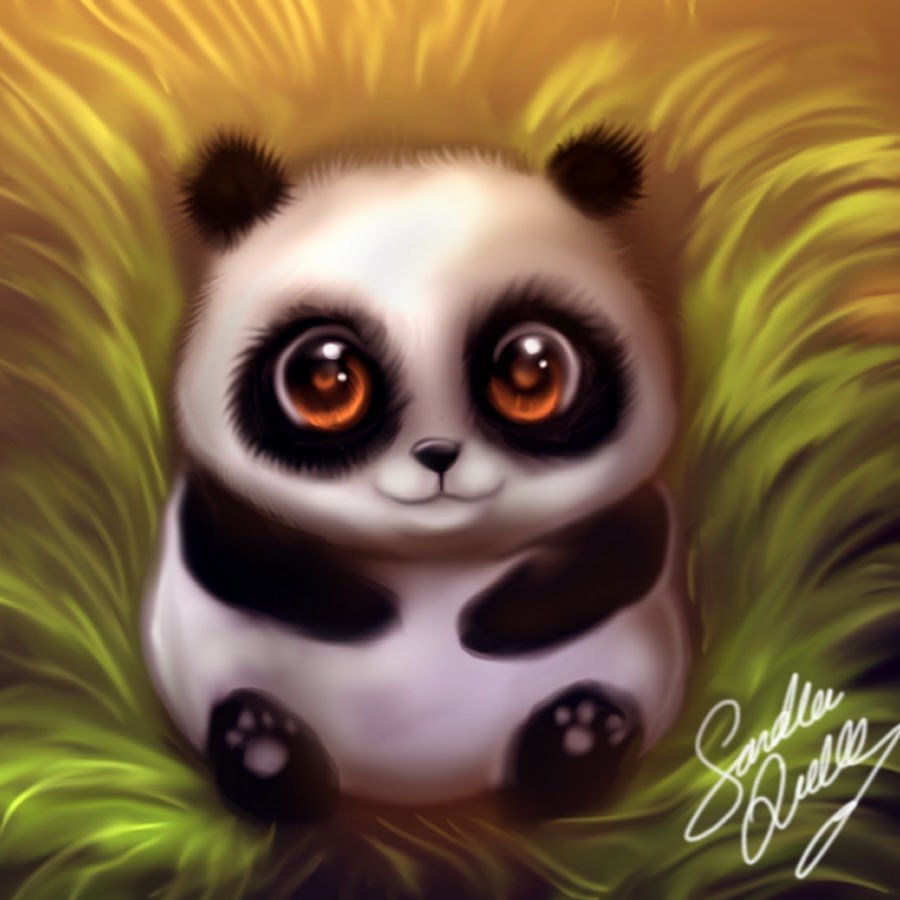 Панда с большими глазами