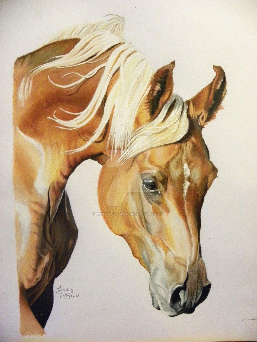 Лошадь реалистичный рисунок