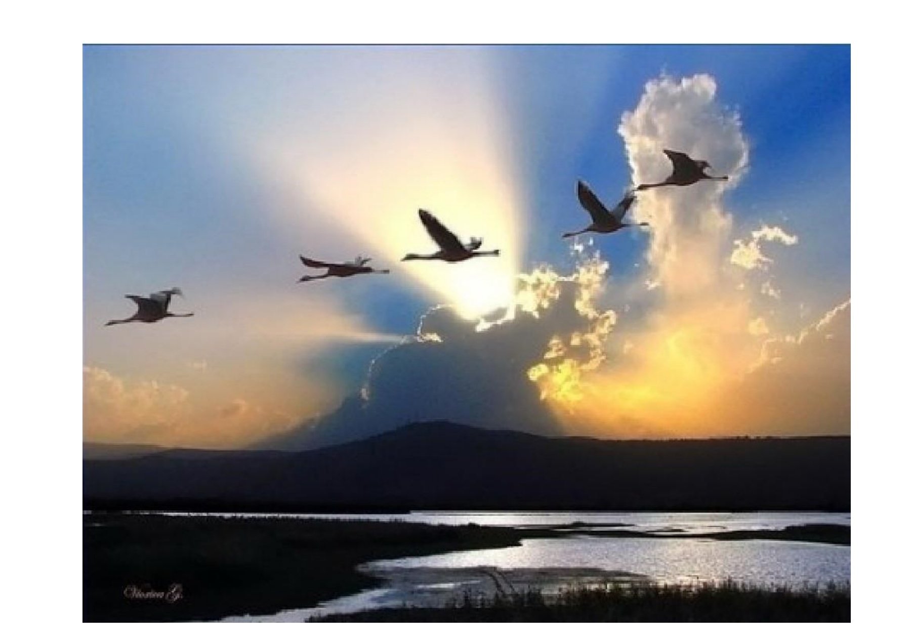 Я хочу чтобы небо было больше. Птицы улетают. Птицы в небе. Журавль в небе. Стая журавлей.