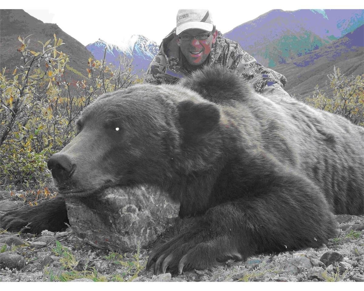 Какие медведи крупнее. Самый большой медведь Гризли. Гигантский Гризли Аляска. Огромный медведь Гризли Аляска.