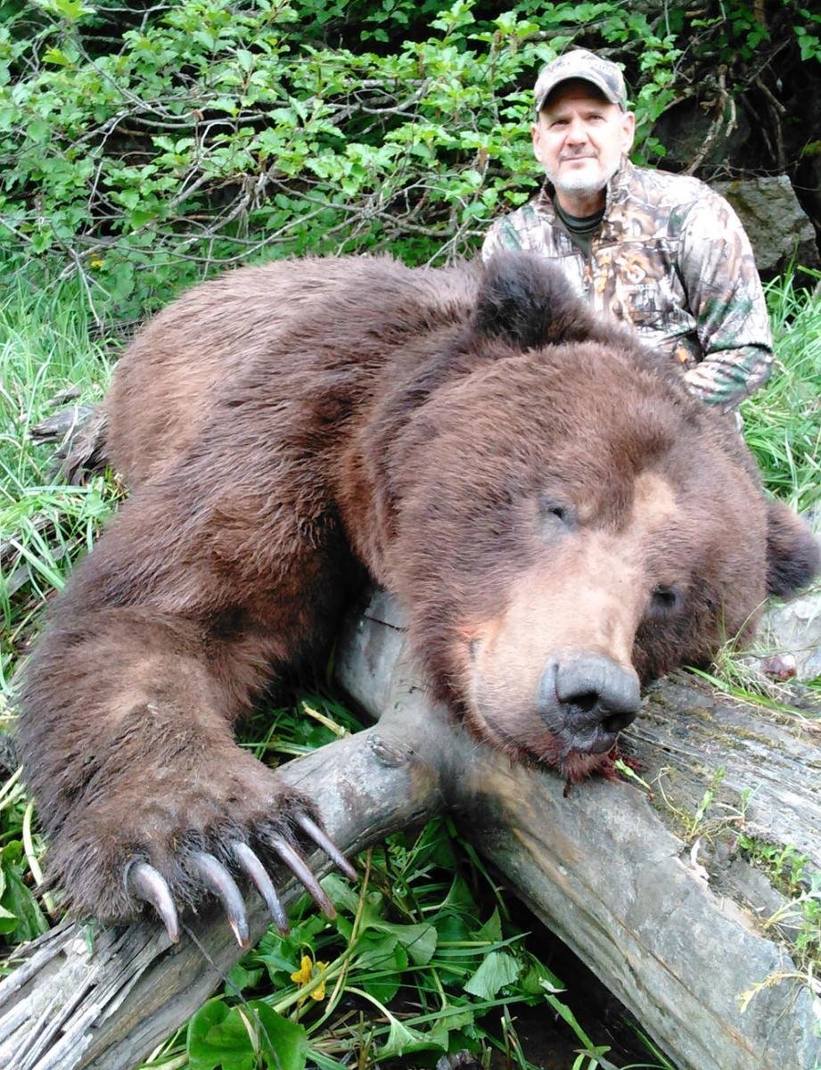 Какие медведи крупнее. Гигантский медведь людоед Гризли. Медведь Кадьяк самый большой. Кадьяк медведь вес.