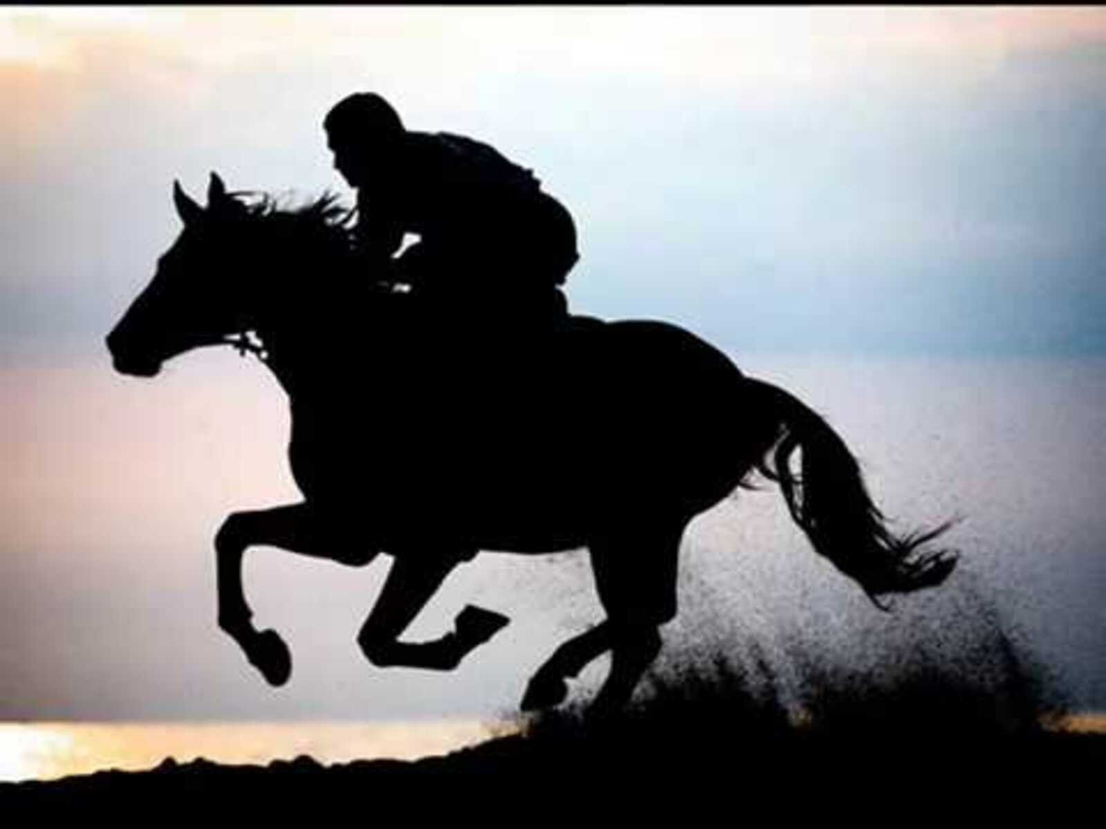 Небо на кону. Всадник на коне. Всадник скачет на лошади. Скачущий всадник. Всадник с лошадью.