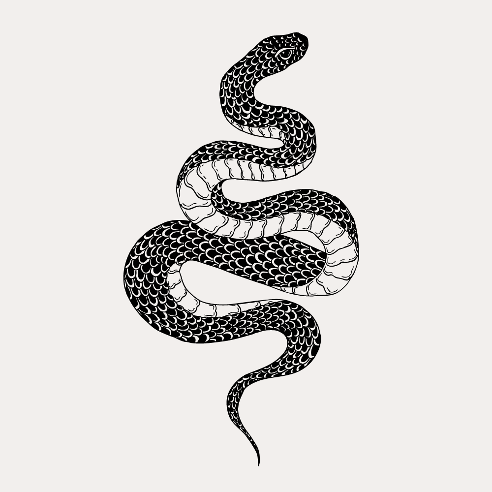 Змея обвивающая чашу