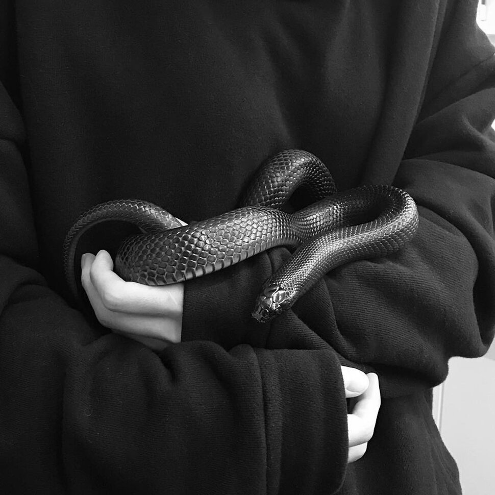 Змея питон черно белая
