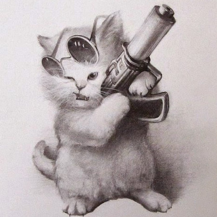 Кот с пушкой