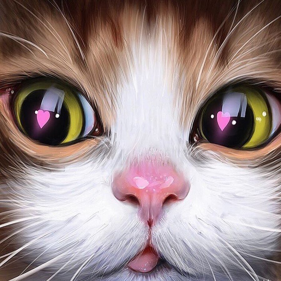 Милые кошачьи глаза