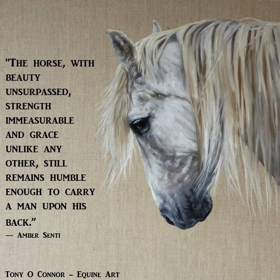 Красивые фразы про лошадей