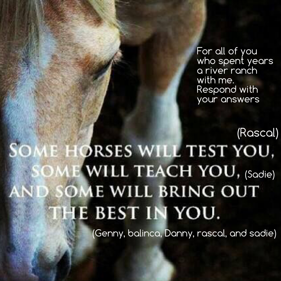Цитаты про лошадей со смыслом