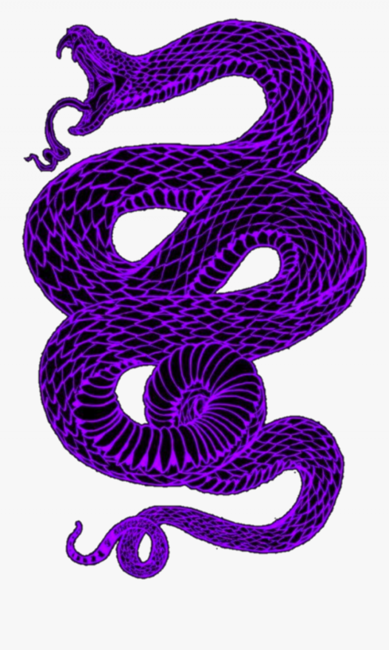 Фиолетовые змеи
