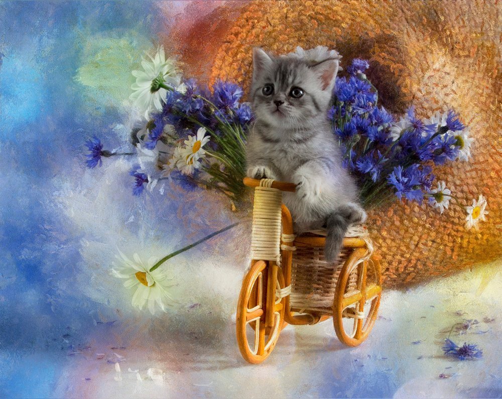 Кот с цветами с днем рождения