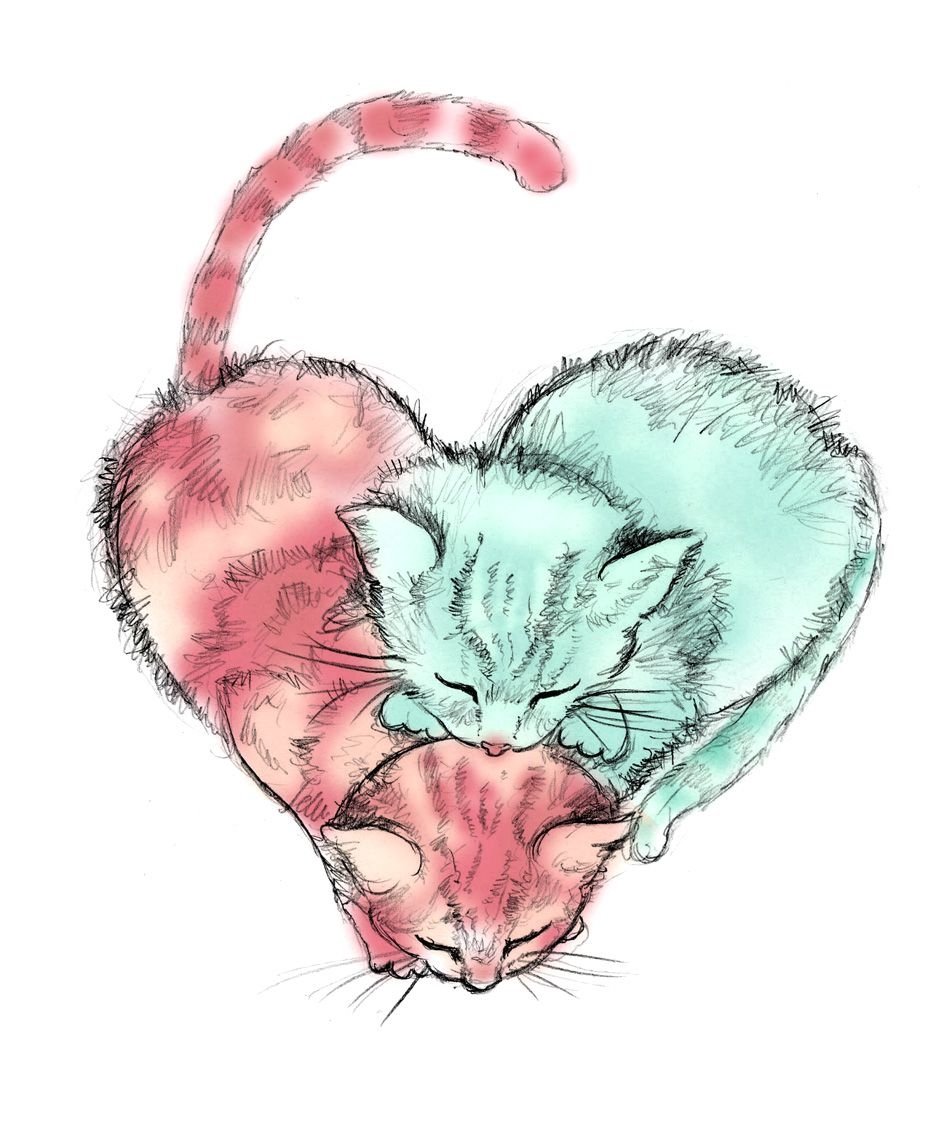 Эстетика коты с сердечками