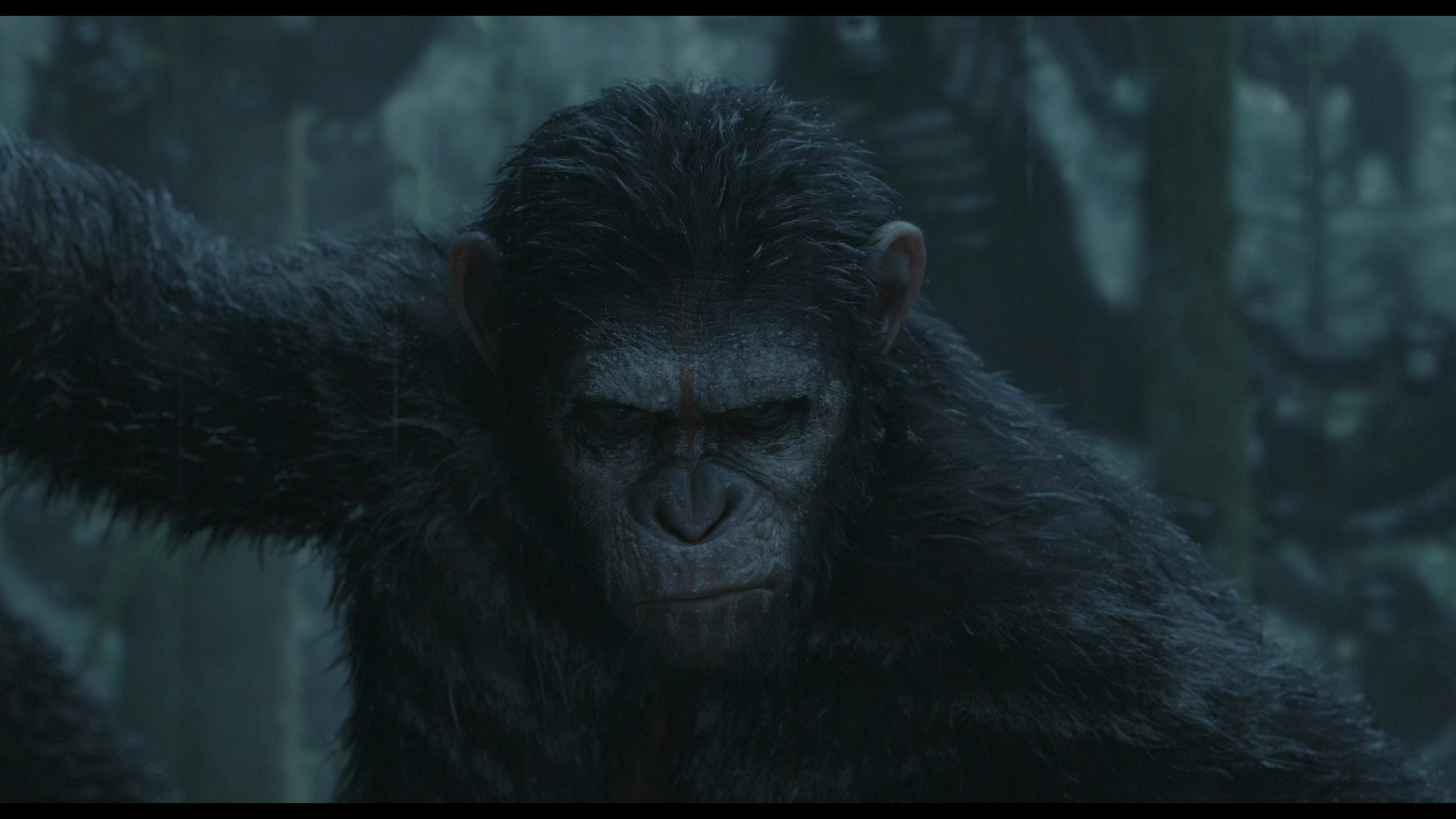 Восстание обезьян революция. Планета обезьян: революция (2014). Планета обезьян революция.