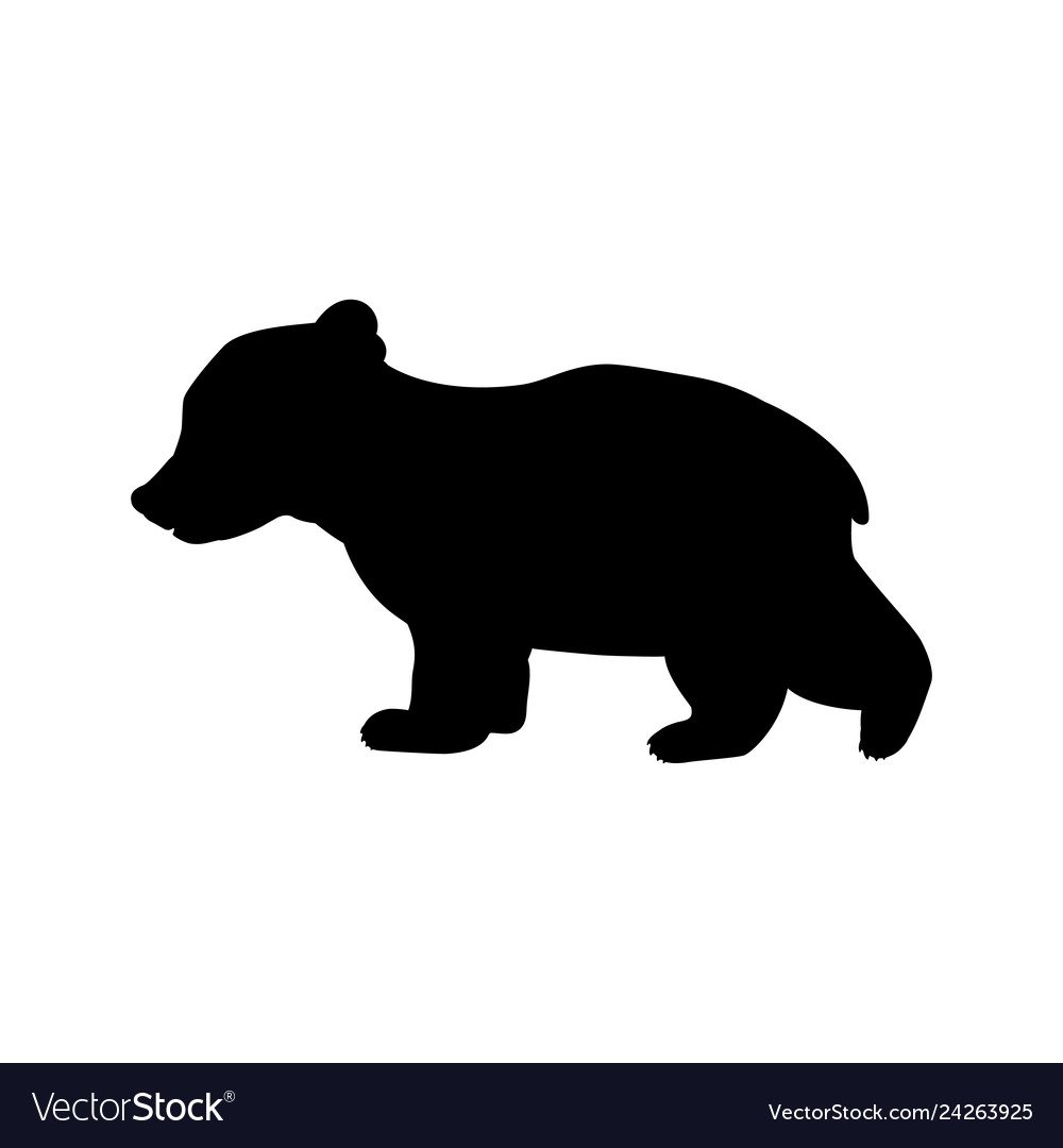 Тень медведя для детей