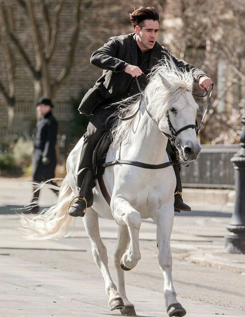 Колин Фаррелл на белом коне