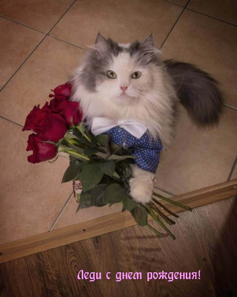 Котенок в вазе с розами