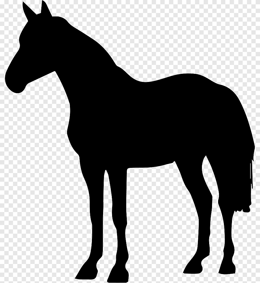 Пиктограмма лошадь