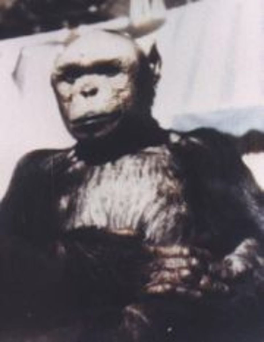 Человек-обезьяна, найденный в джунглях Бразилии, 1937 г.