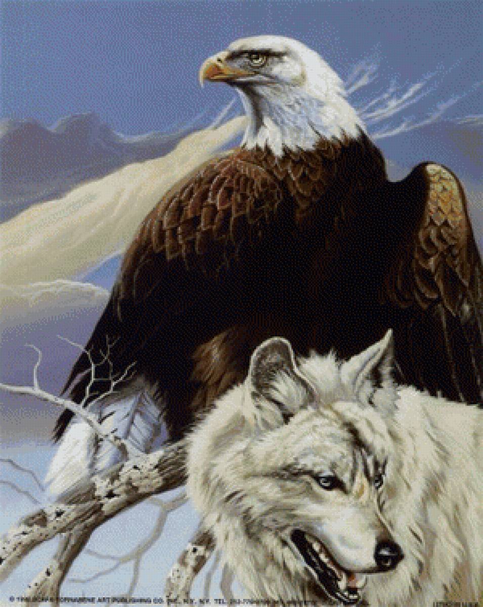 Волк и Орел вместе