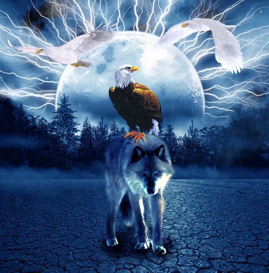 Волк и Орел фэнтези