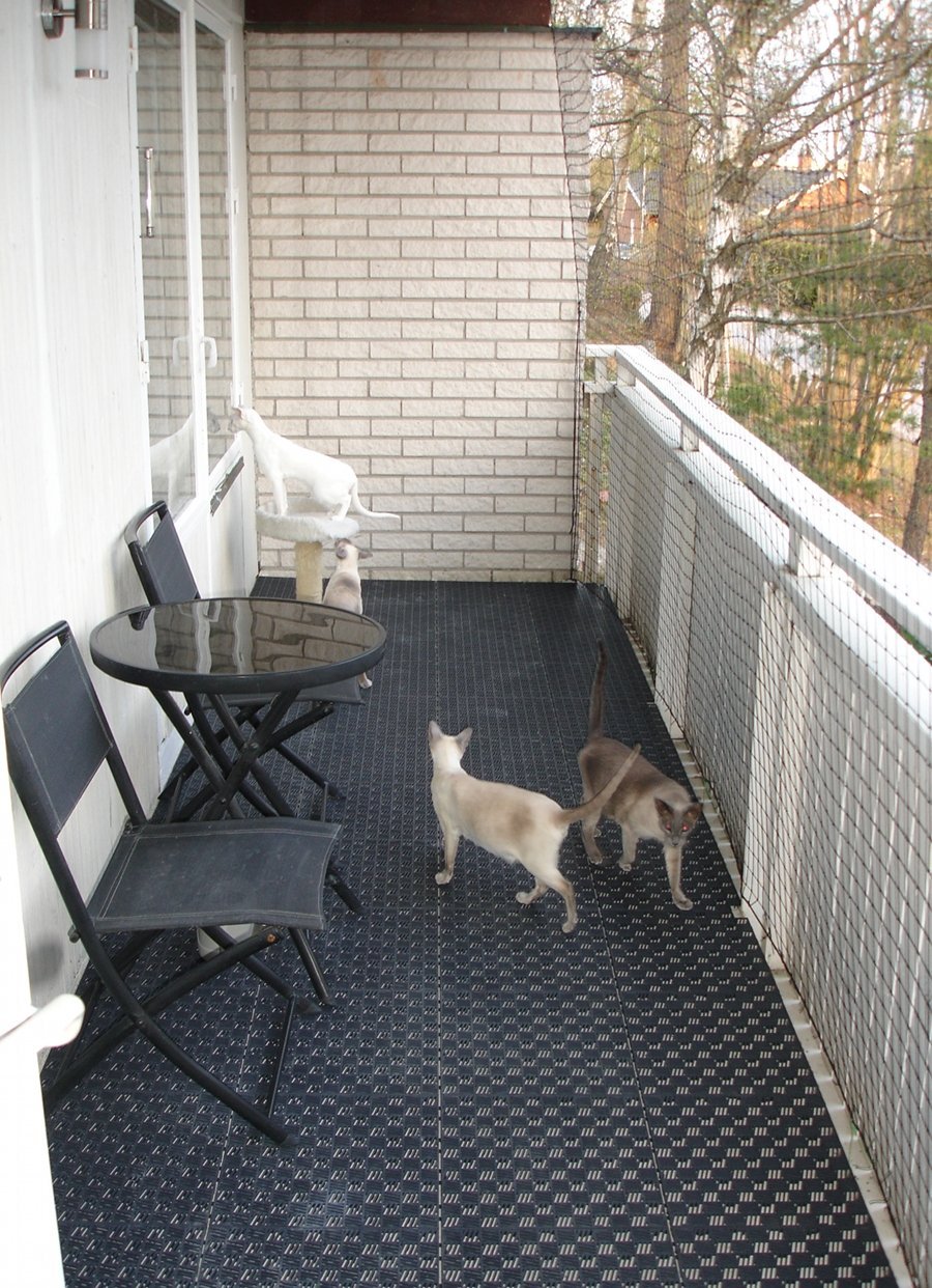 Балкон для собаки на балконе