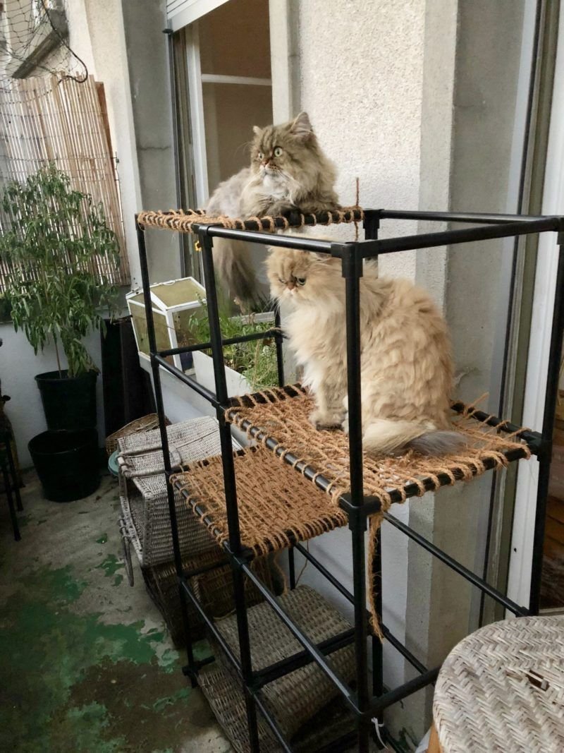 Домик для кота на балконе