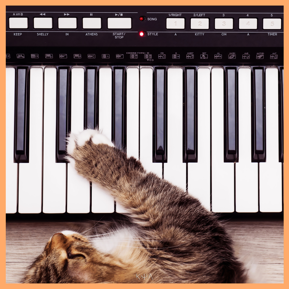 Кошачий синтезатор