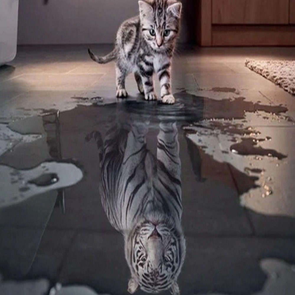 Кот в отражении тигр