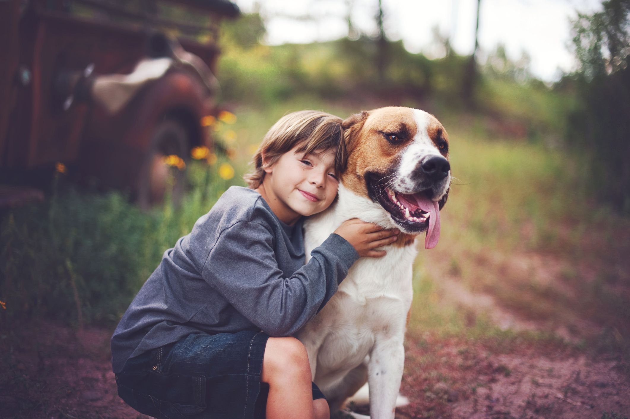 Kind pets. Обнимает собаку. Ребенок обнимает собаку. Мальчик с собакой. Собака для детей.