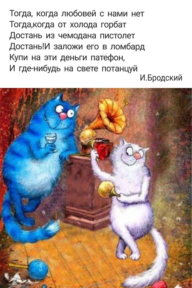 Коты Ирины Зенюк 2022