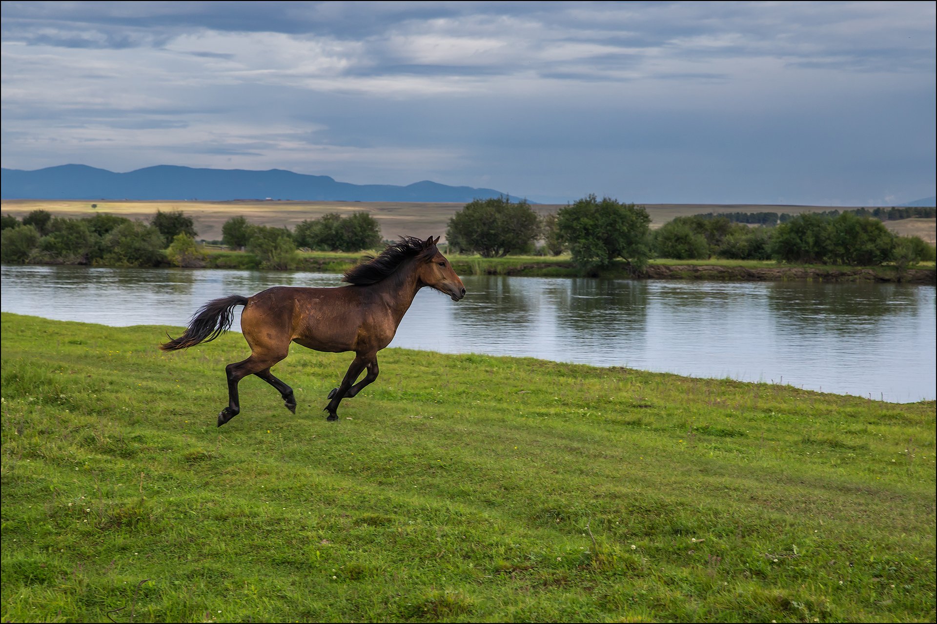 Дальше лошадка. Лошади на берегу реки. Лошади на природе. Пейзаж с лошадьми. Лошадь у реки.