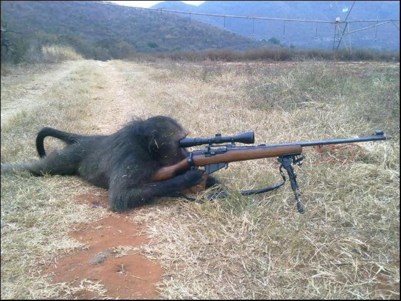 Gun monkeys steam фото 65