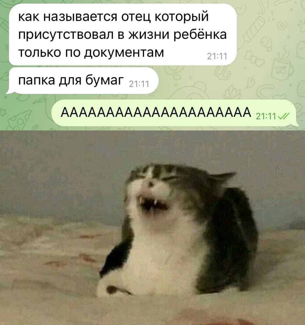 Кот из мемов