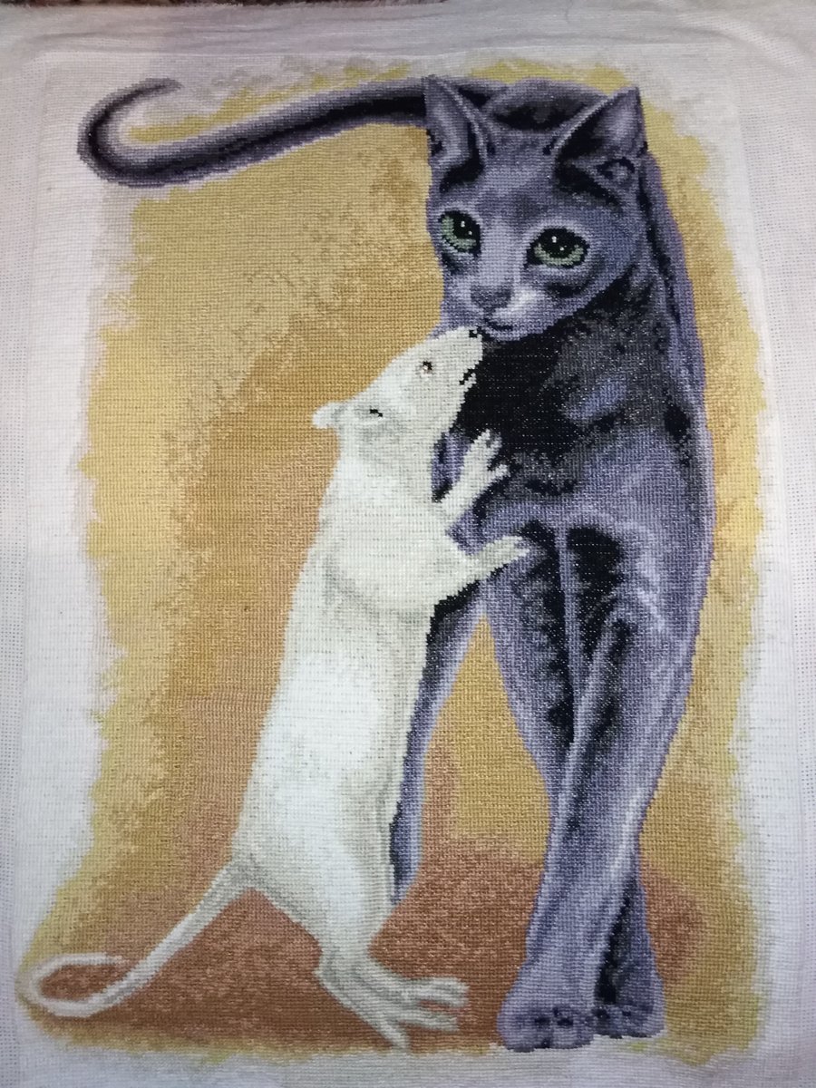 Мышонок и кошка