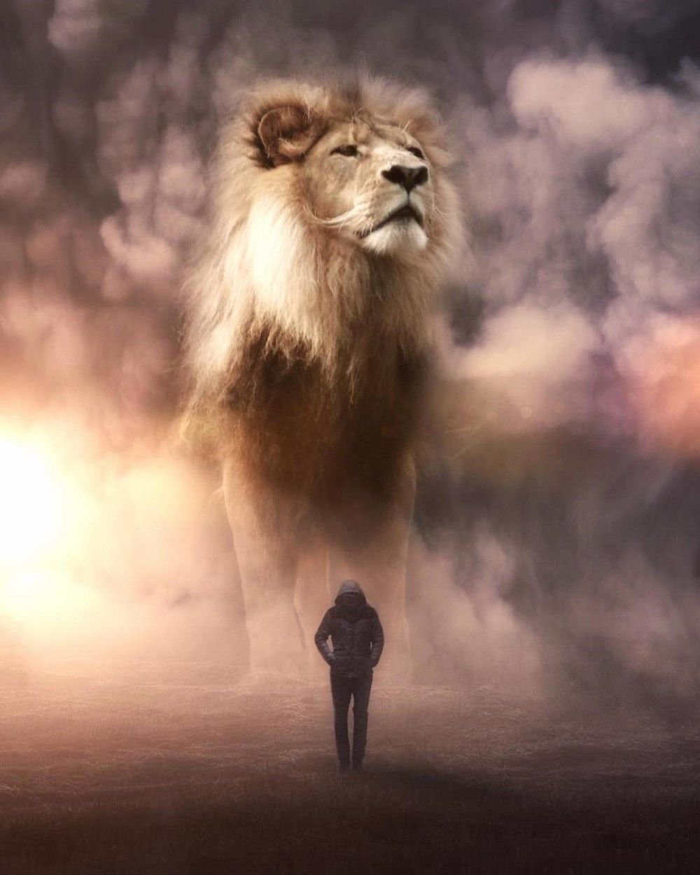 Лев идет вперед