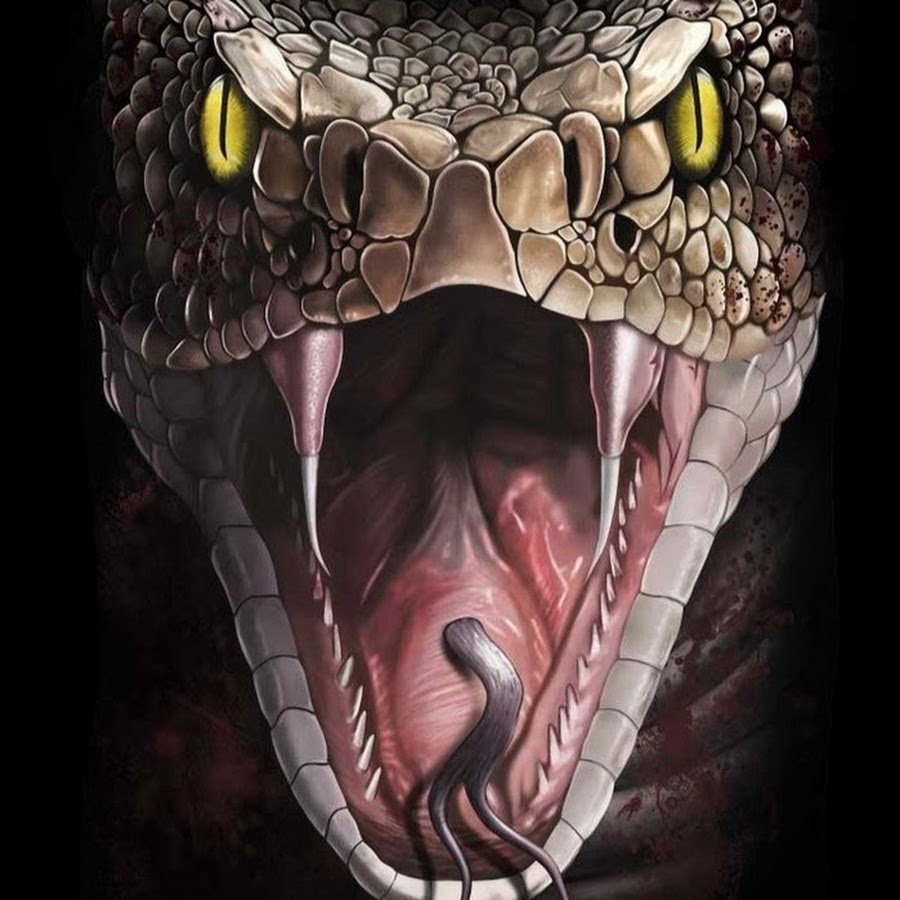 Голова змеи с открытой пастью
