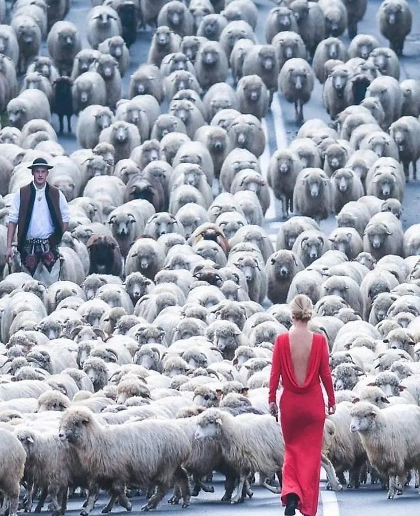 Пастух с баранами