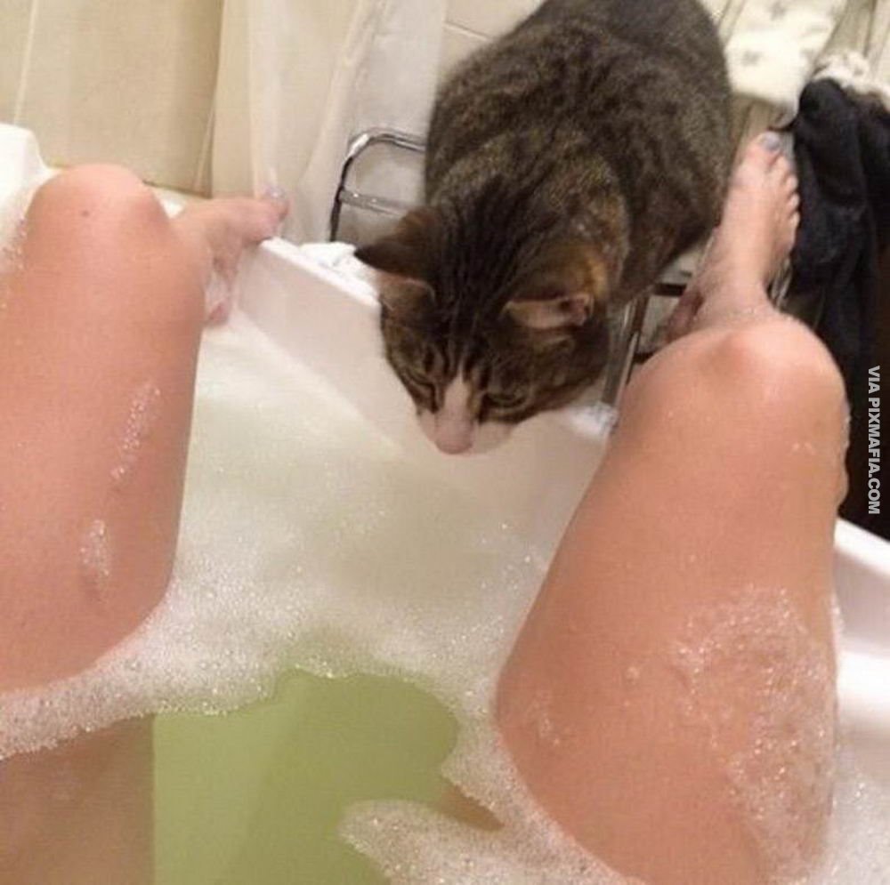 Девушка в ванной и кот