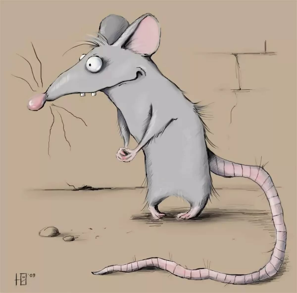 Мышь прикольная