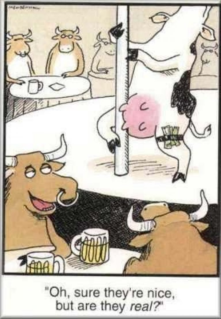 Открытка-комикс с коровой