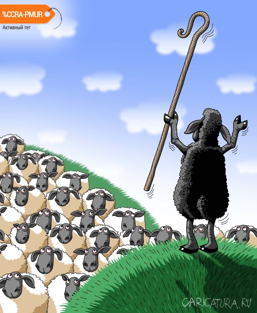 Овца карикатура