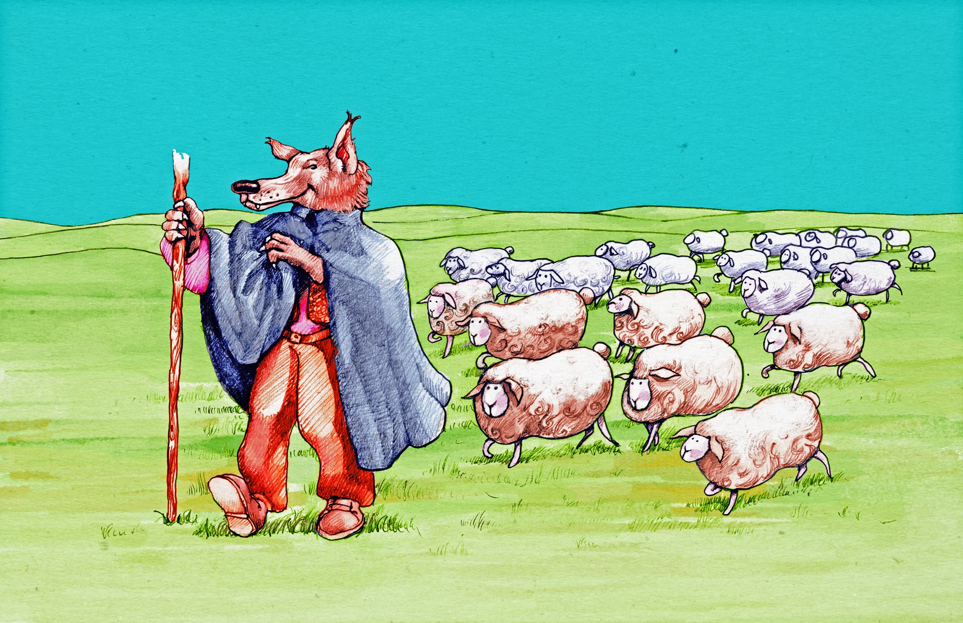 Волк и овцы карикатура