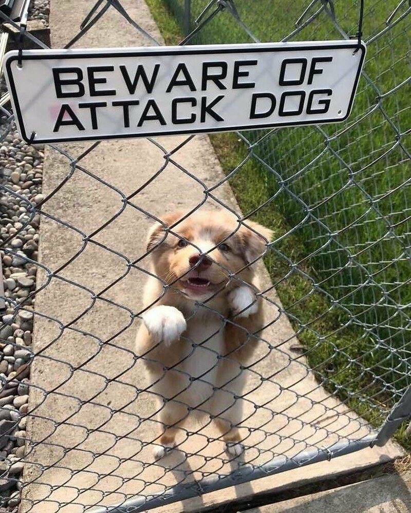 Предупреждающие таблички на забор
