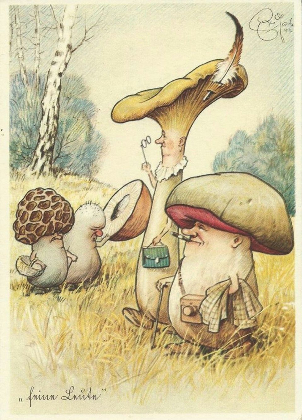 Прикольные грибы